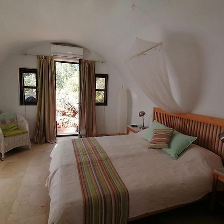 El Jardin De Los Suenos Rodalquilar Εξωτερικό φωτογραφία