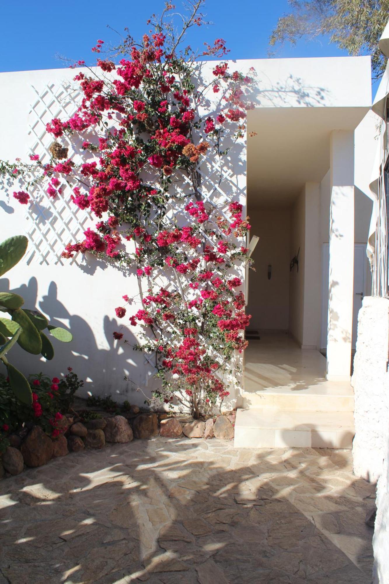 El Jardin De Los Suenos Rodalquilar Εξωτερικό φωτογραφία