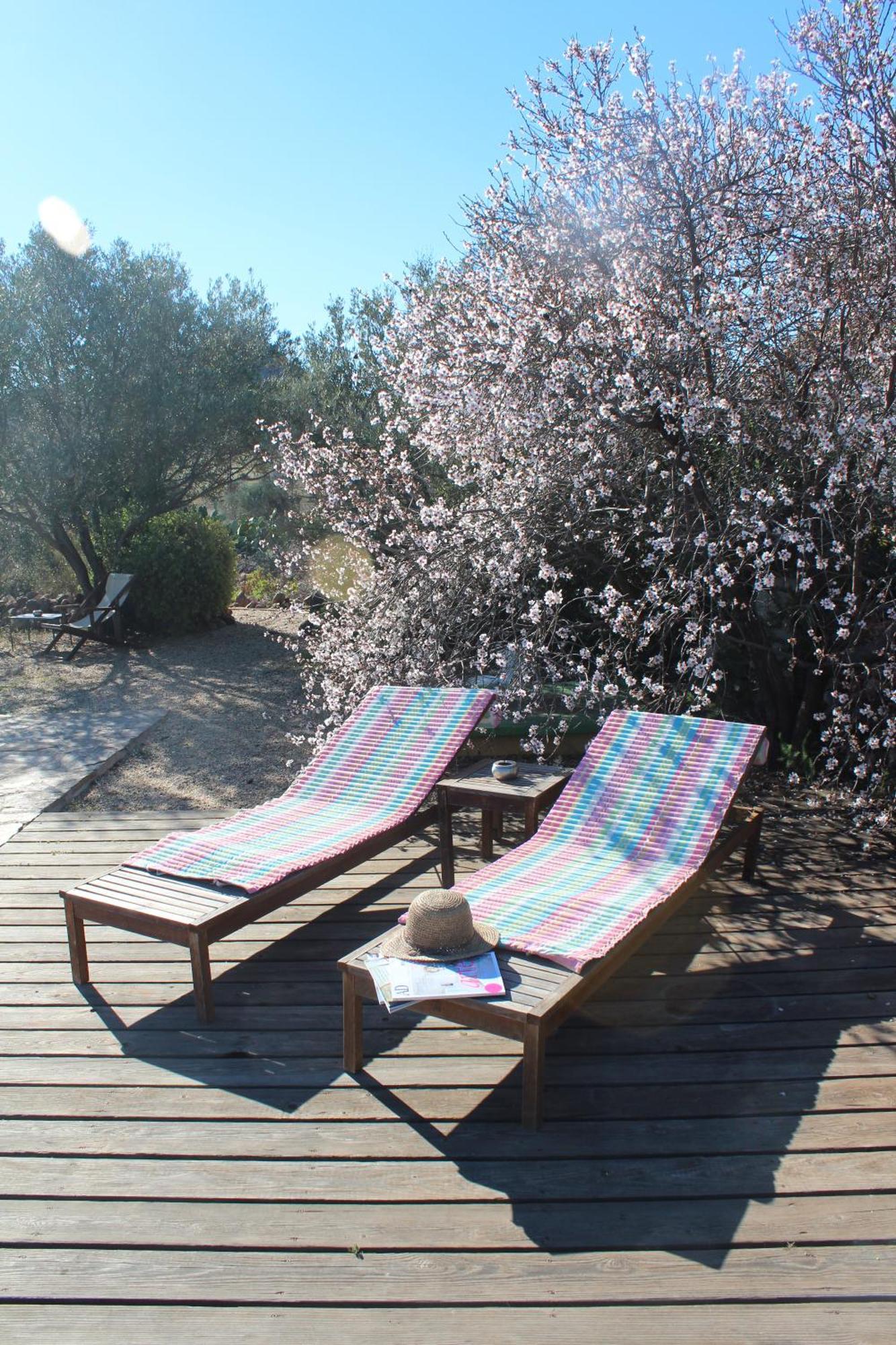 El Jardin De Los Suenos Rodalquilar Εξωτερικό φωτογραφία
