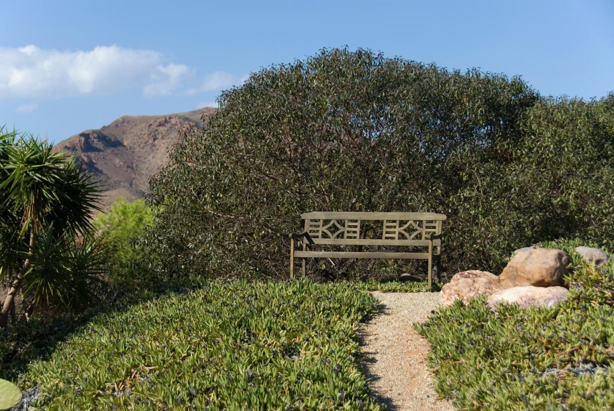El Jardin De Los Suenos Rodalquilar Εξωτερικό φωτογραφία