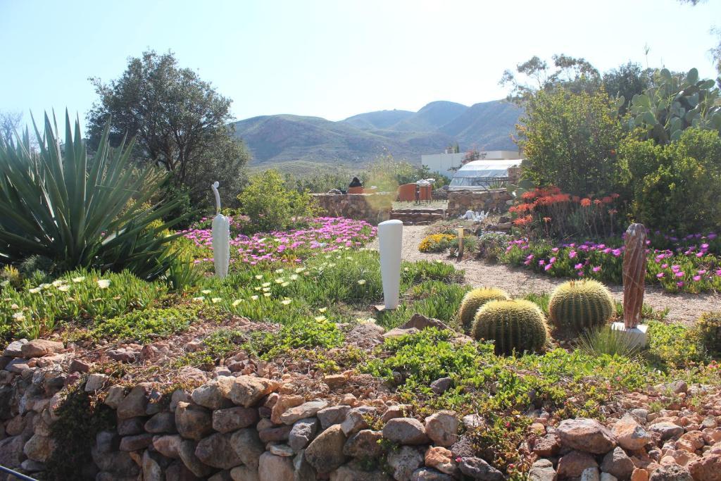 El Jardin De Los Suenos Rodalquilar Εξωτερικό φωτογραφία