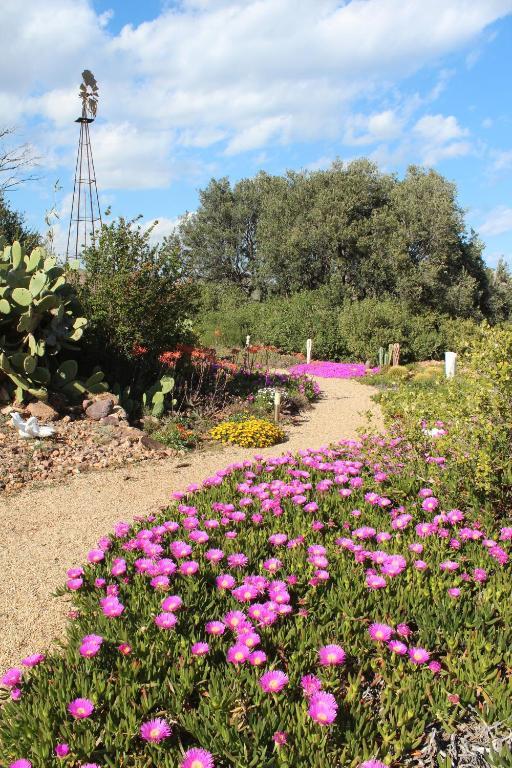 El Jardin De Los Suenos Rodalquilar Εξωτερικό φωτογραφία